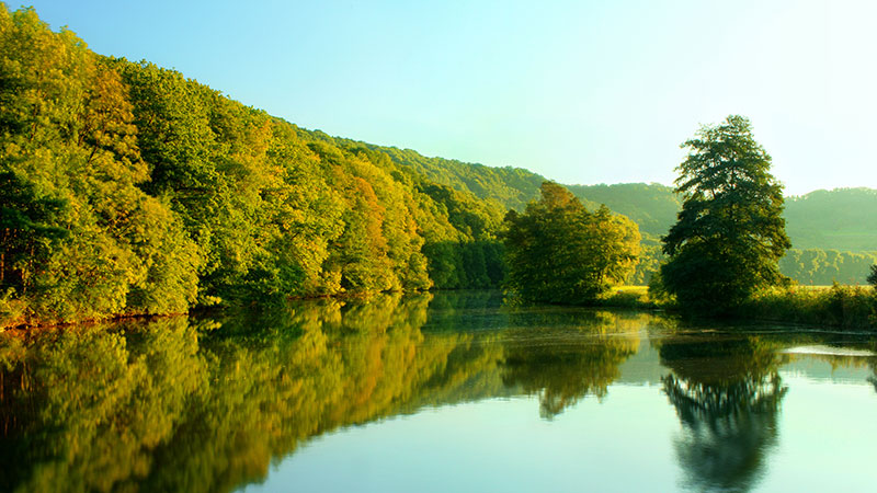 蛟龙戏水代表什么生肖，最新落实
