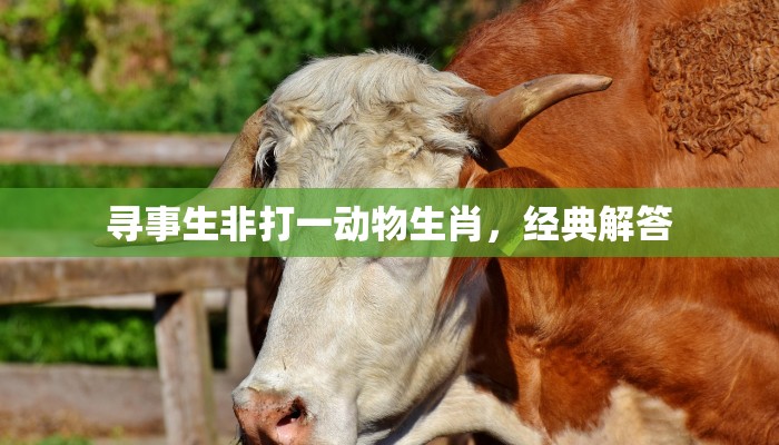 寻事生非打一动物生肖，经典解答