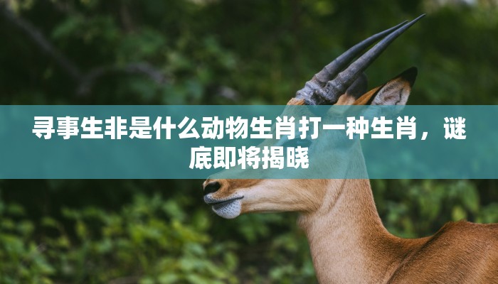 泉水丁冬是什么生肖,精准解析 泉水丁冬是什么生肖,精准解析