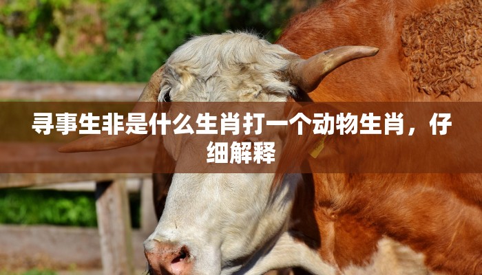 寻事生非是什么生肖打一个动物生肖，仔细解释