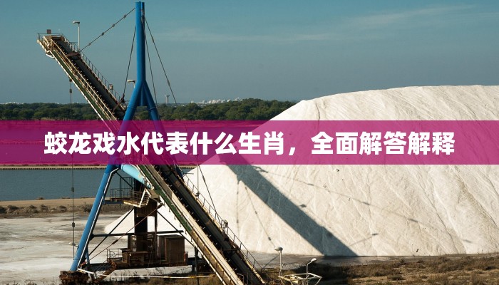 蛟龙戏水代表什么生肖，全面解答解释