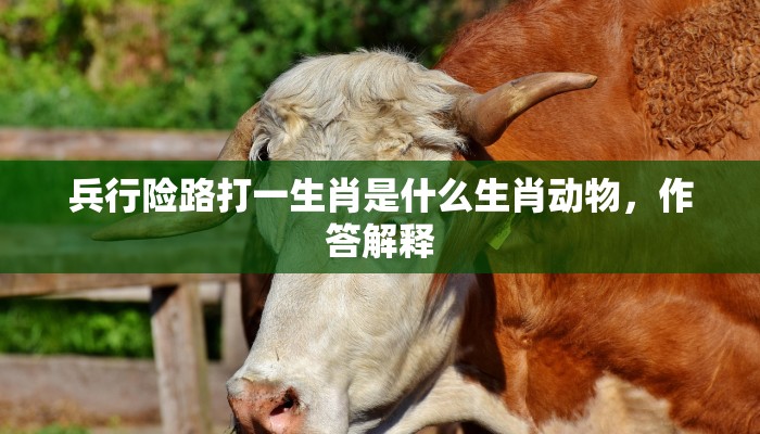 兵行险路打一生肖是什么生肖动物，作答解释