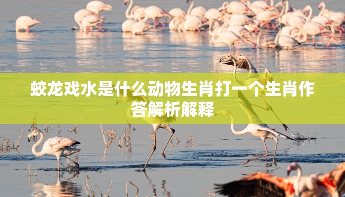 蛟龙戏水是什么动物生肖打一个生肖作答解析解释