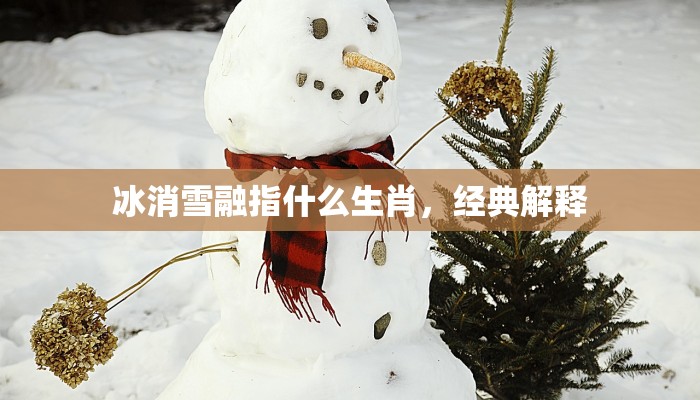 冰消雪融指什么生肖,经典解释 冰消雪融指什么生肖,经典解释