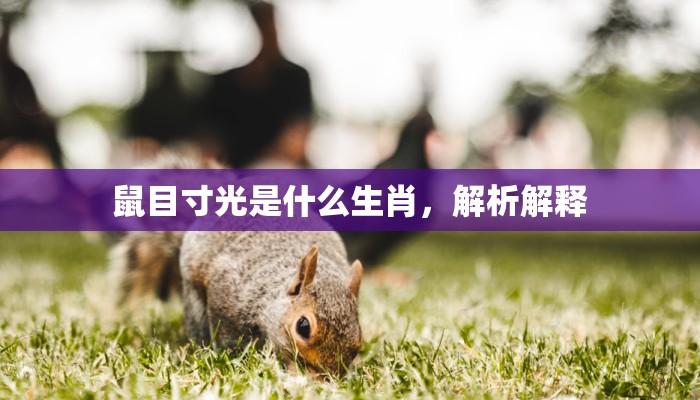 卧薪尝胆是什么生肖，作答解读