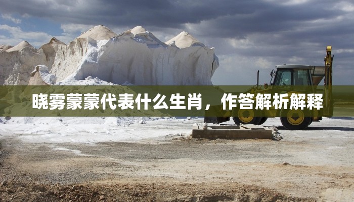 晓雾蒙蒙代表什么生肖，作答解析解释