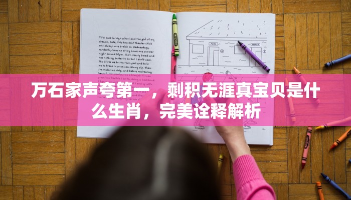 万石家声夸第一，剩积无涯真宝贝是什么生肖，完美诠释解析