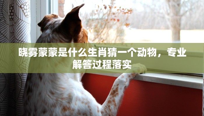 晓雾蒙蒙是什么生肖猜一个动物，专业解答过程落实