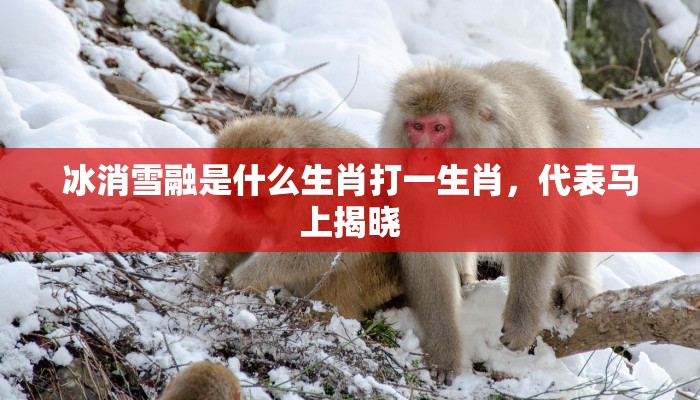 冰消雪融是什么生肖打一生肖，代表马上揭晓