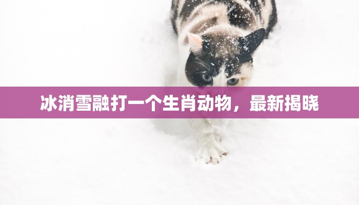 冰消雪融打一个生肖动物，最新揭晓