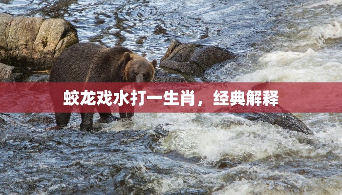 卧薪尝胆打一生肖，经典解释