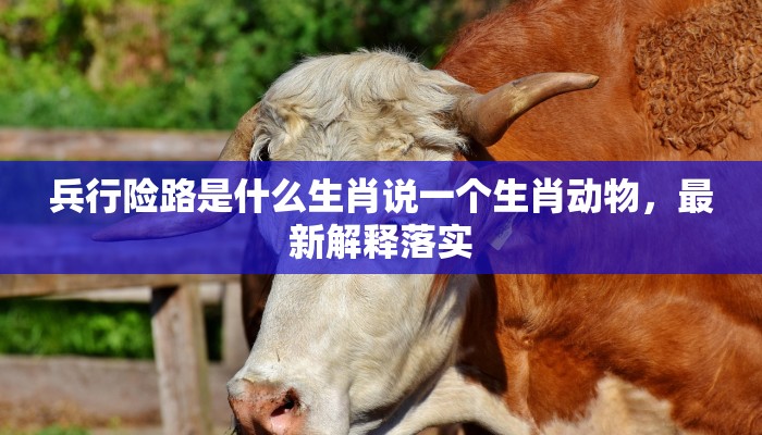 兵行险路是什么生肖说一个生肖动物，最新解释落实