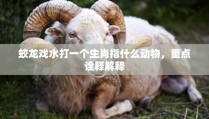 蛟龙戏水打一个生肖指什么动物，重点诠释解释