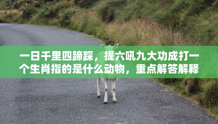 一日千里四蹄踩，提六吼九大功成打一个生肖指的是什么动物，重点解答解释