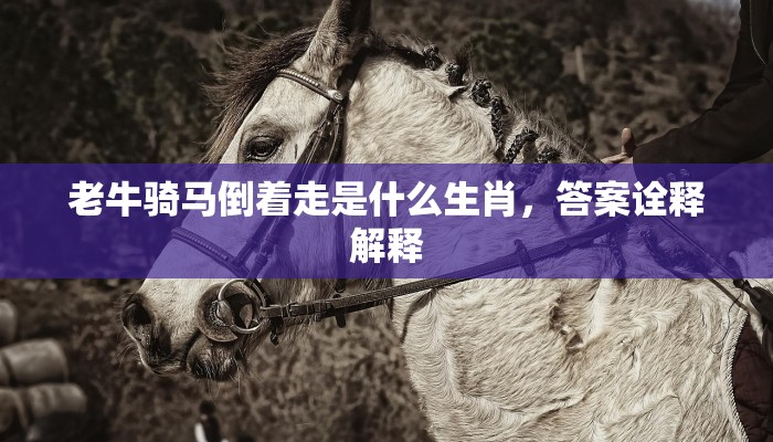 老牛骑马倒着走是什么生肖，答案诠释解释