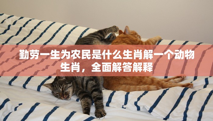 勤劳一生为农民是什么生肖解一个动物生肖，全面解答解释