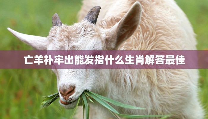 绮云初堕亭亭月，孤生四远何足论代表什么生肖，揭秘解释