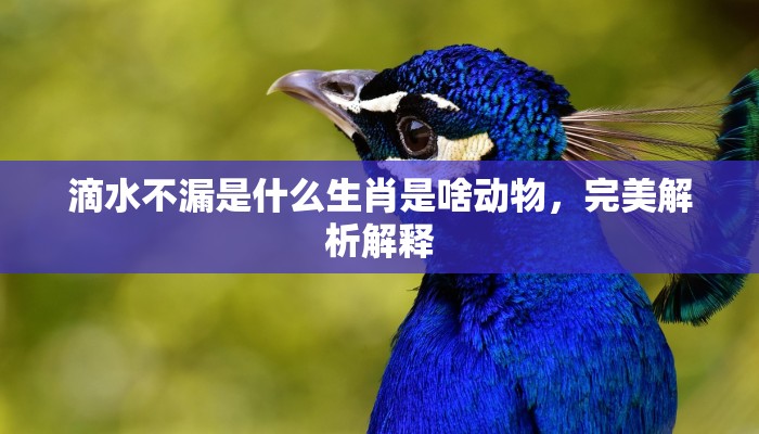 对称两边拱殿堂是什么生肖打一个动物生肖，仔细解释
