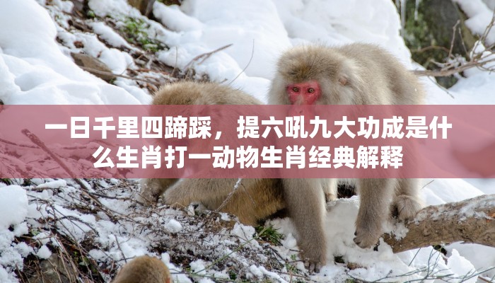 一日千里四蹄踩，提六吼九大功成是什么生肖打一动物生肖经典解释