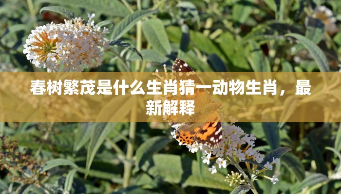 春树繁茂是什么生肖猜一动物生肖，最新解释