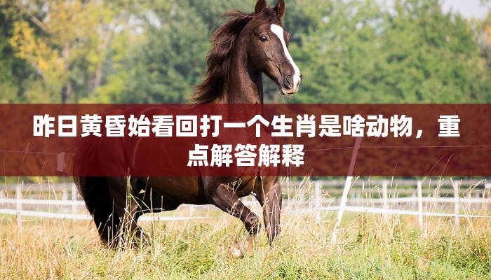 昨日黄昏始看回打一个生肖是啥动物，重点解答解释