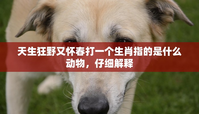 天生狂野又怀春打一个生肖指的是什么动物，仔细解释
