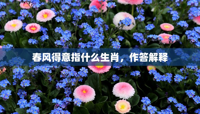 春风得意指什么生肖，作答解释
