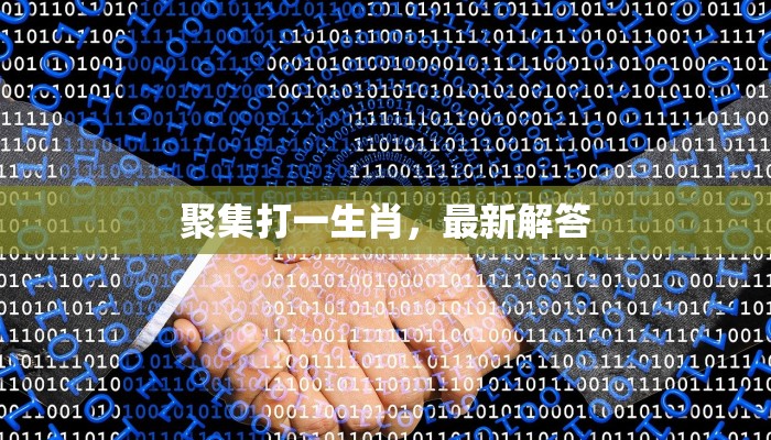 寻事生非指什么生肖，科学答案