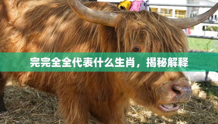 完完全全代表什么生肖，揭秘解释