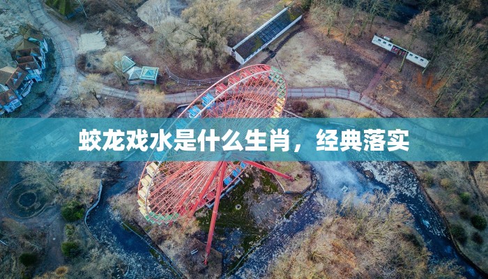 蛟龙戏水是什么生肖，经典落实