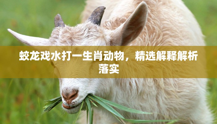 蛟龙戏水打一生肖动物，精选解释解析落实