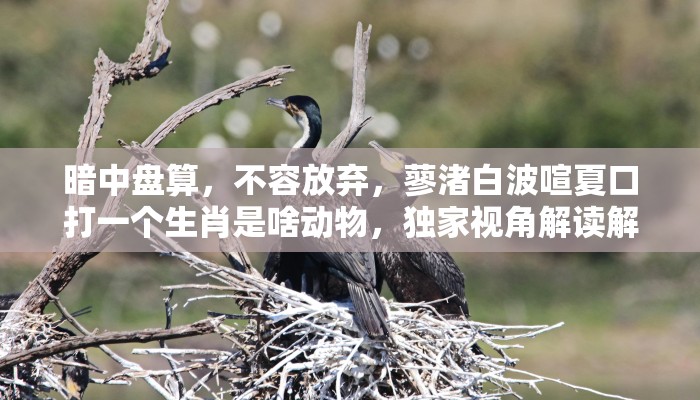 蛟龙戏水是什么生肖打一动物精选最佳资询 蛟龙戏水是什么生肖打一动物精选最佳资询