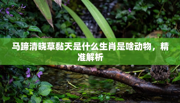 马蹄清晓草黏天是什么生肖是啥动物，精准解析