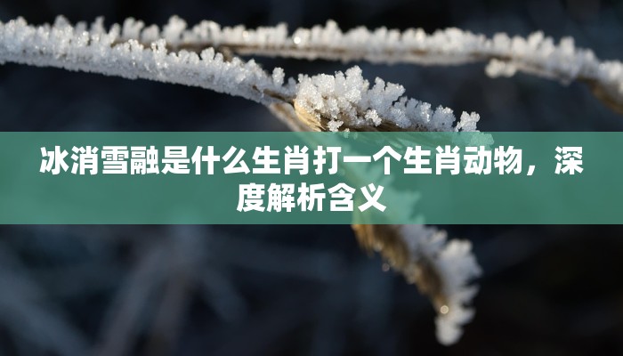 冰消雪融是什么生肖打一个生肖动物，深度解析含义