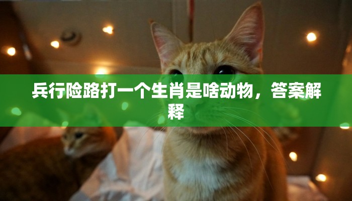 兵行险路打一个生肖是啥动物，答案解释