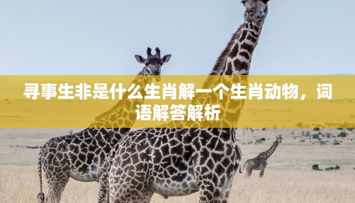 寻事生非是什么生肖解一个生肖动物，词语解答解析