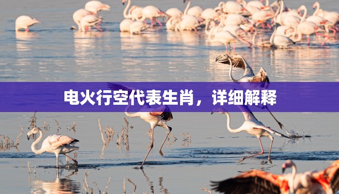 电火行空代表生肖，详细解释