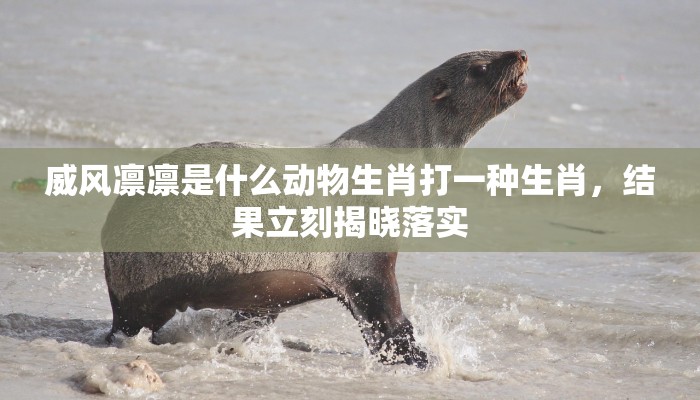 威风凛凛是什么动物生肖打一种生肖,结果立刻揭晓落实 威风凛凛是什么动物生肖打一种生肖,结果立刻揭晓落实