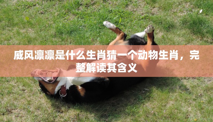威风凛凛是什么生肖猜一个动物生肖,完整解读其含义 威风凛凛是什么生肖猜一个动物生肖,完整解读其含义