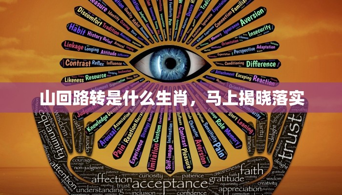 心怀鬼胎打一个正确生肖，最终结果揭晓