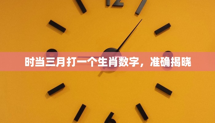 良辰美景打一个生肖，全新揭晓