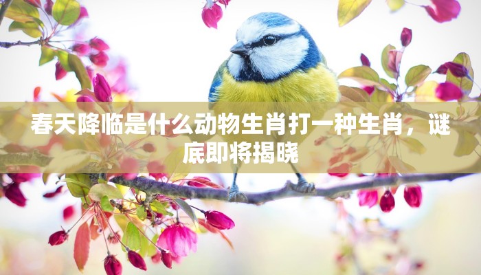 涂山执玉应昌期是什么生肖，快答揭晓