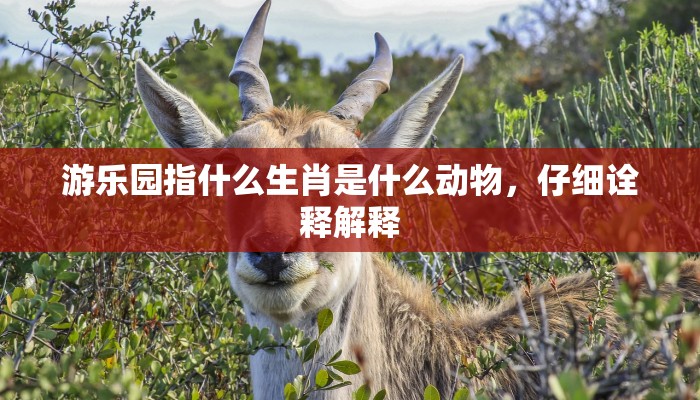 离经畔道打一生肖，全面解答