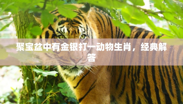 卧薪尝胆打一生肖数字，完整解读内涵