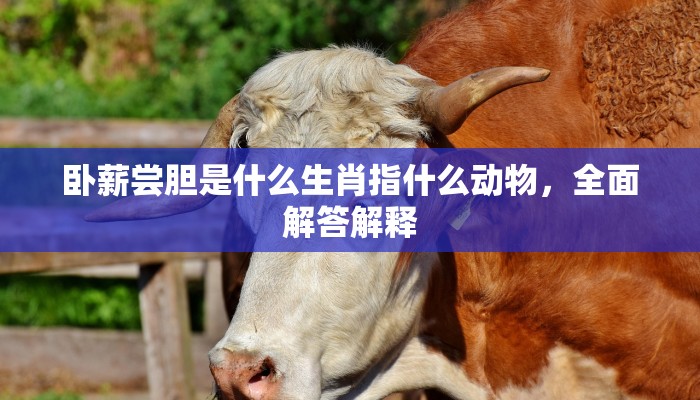 卧薪尝胆是什么生肖指什么动物，全面解答解释