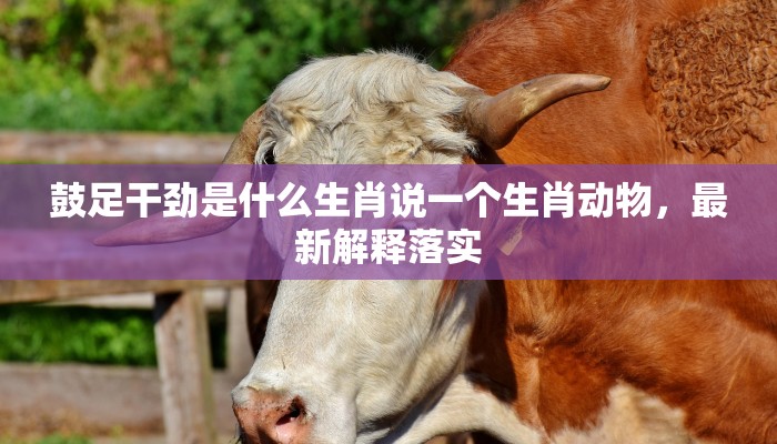 无从反撲好凄凉,须知团结是力量是什么生肖,仔细解释诗意 无从反撲好凄凉,须知团结是力量是什么生肖,仔细解释诗意