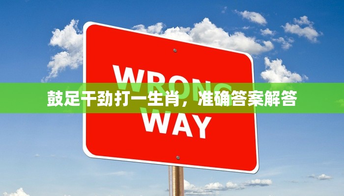 卧薪尝胆是什么生肖，解答揭晓