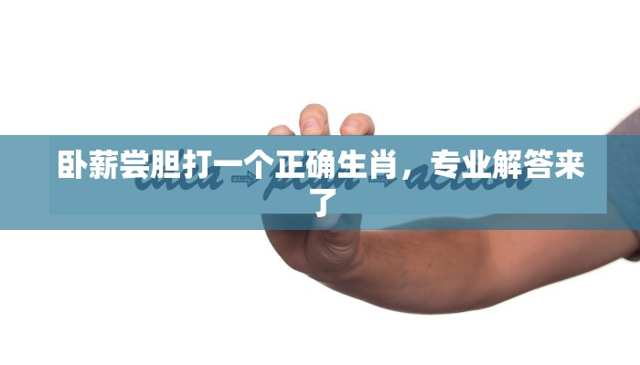 卧薪尝胆打一个正确生肖，专业解答来了