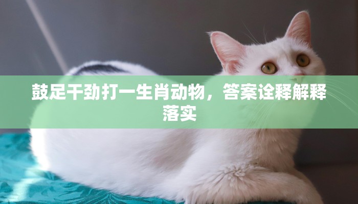 三翻四复打一个生肖是什么生肖，深度解析关系