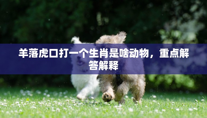 羊落虎口打一个生肖是啥动物,重点解答解释 羊落虎口打一个生肖是啥动物,重点解答解释